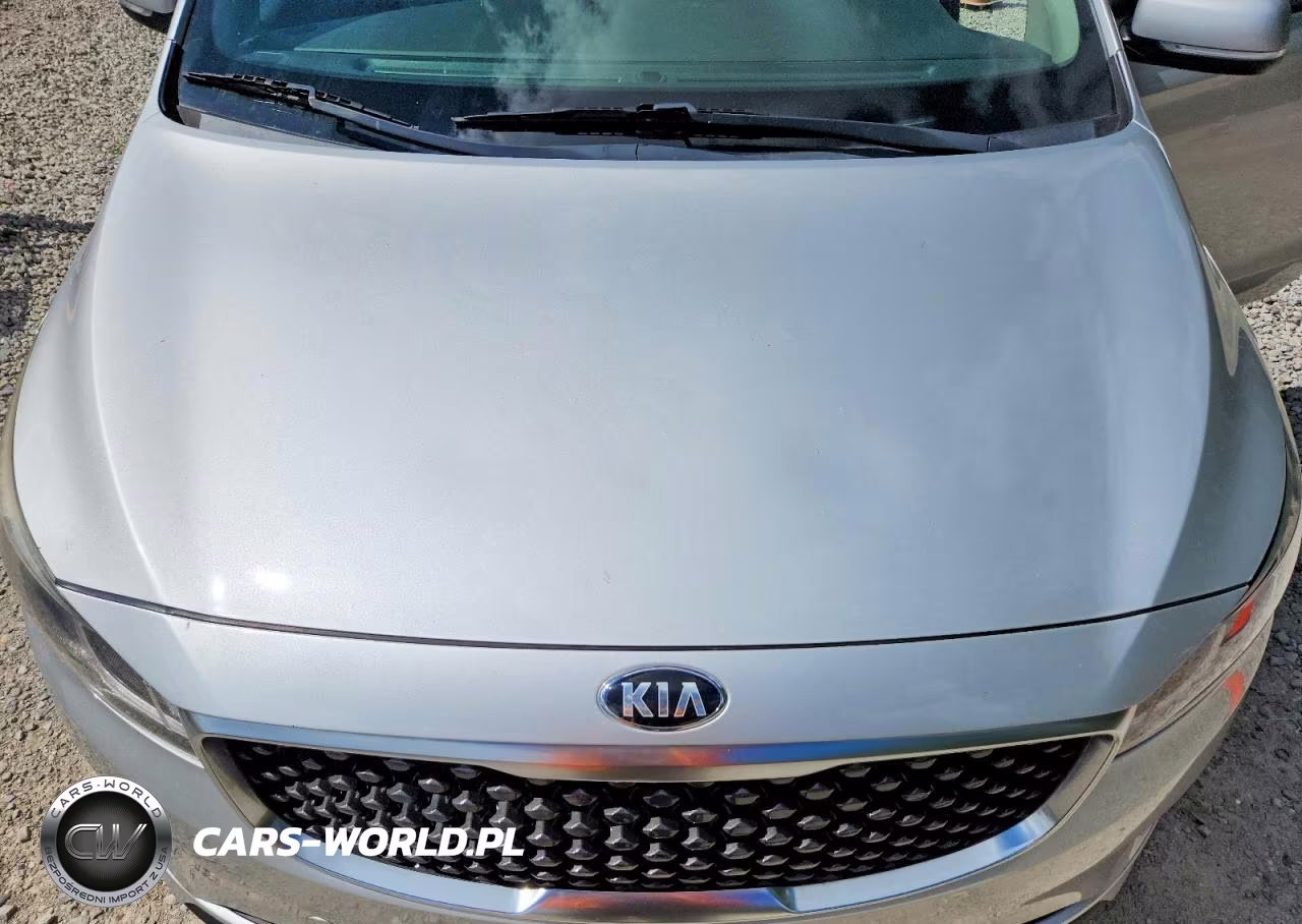 2018 Kia Sedona Lx VIN:KNDMB5C12J6368076 - 12