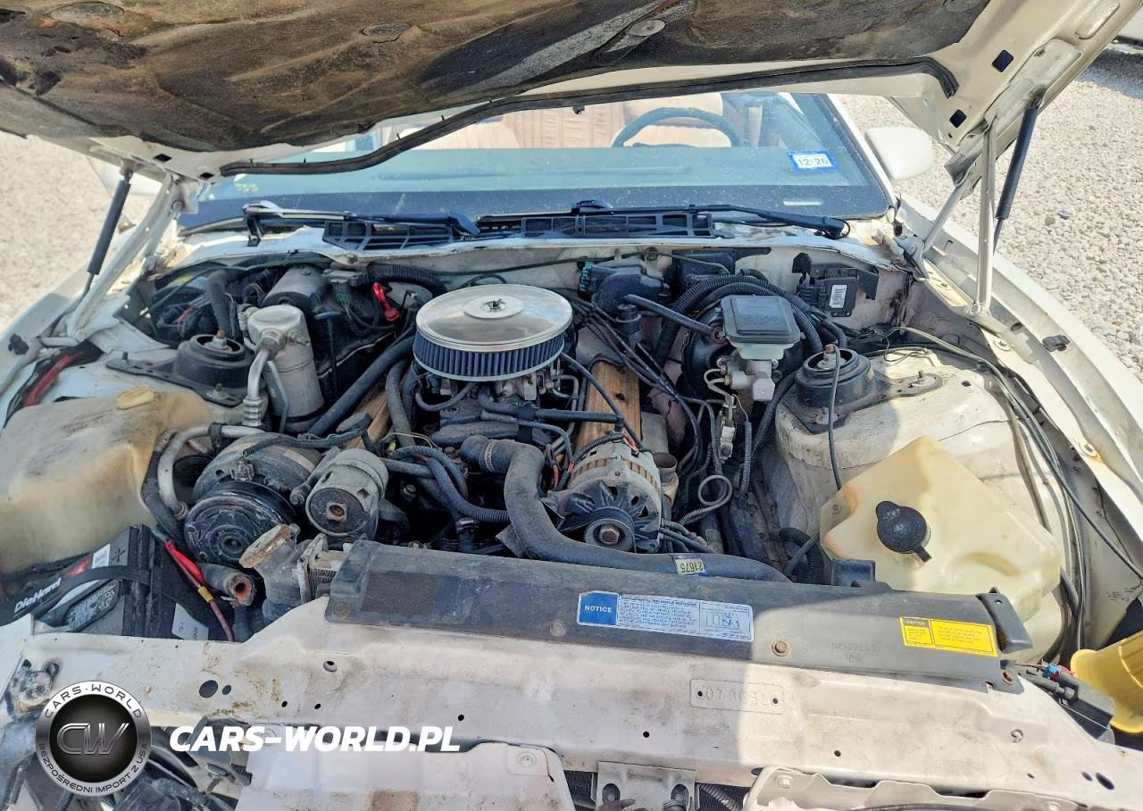1992 Pontiac Firebird VIN:1G2FS33E2NL220800 - 11