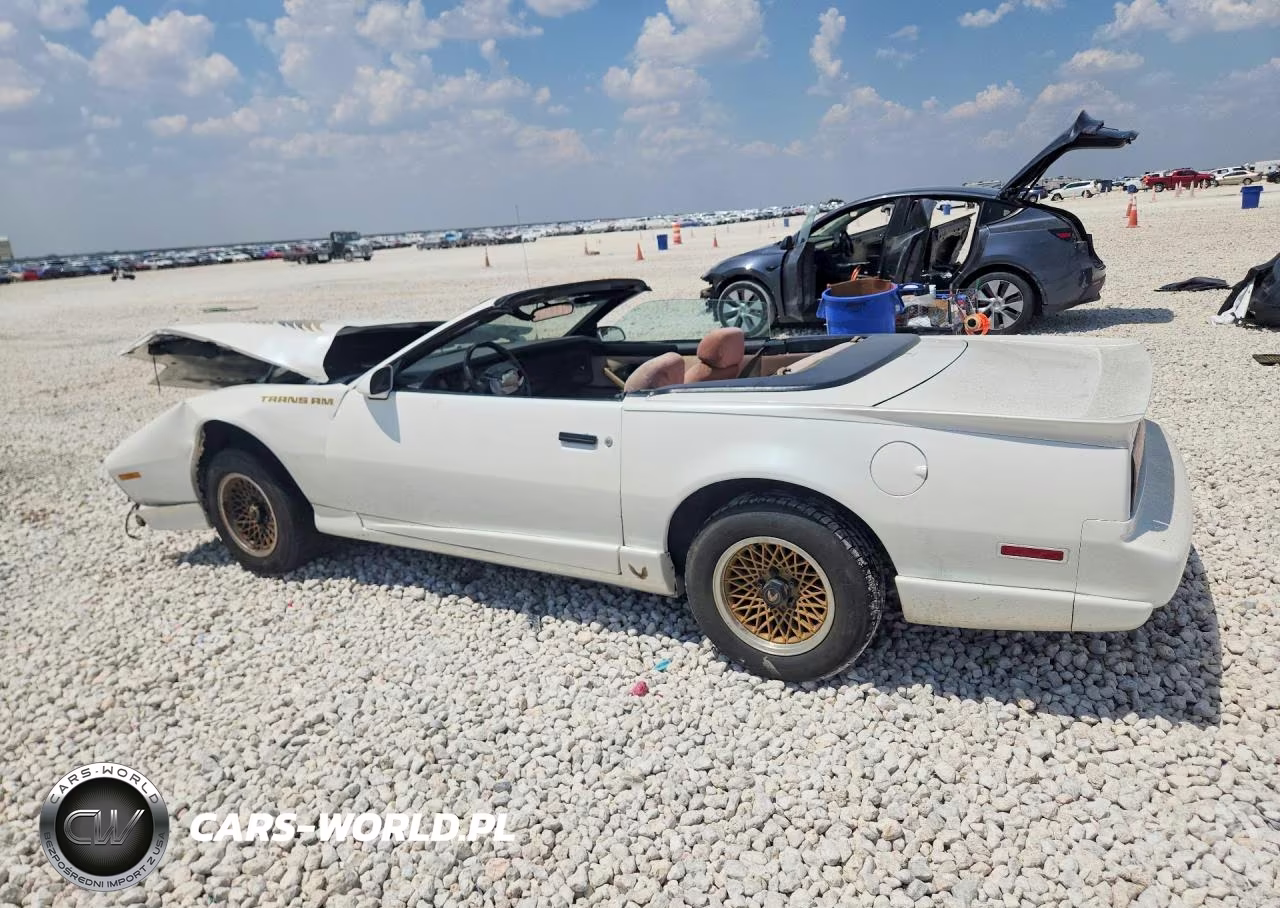 1992 Pontiac Firebird VIN:1G2FS33E2NL220800 - 2