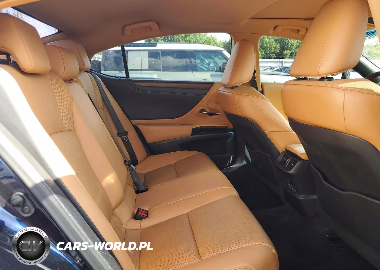 2022 Lexus Es 350 Base VIN:58ADZ1B11NU118145 - 10
