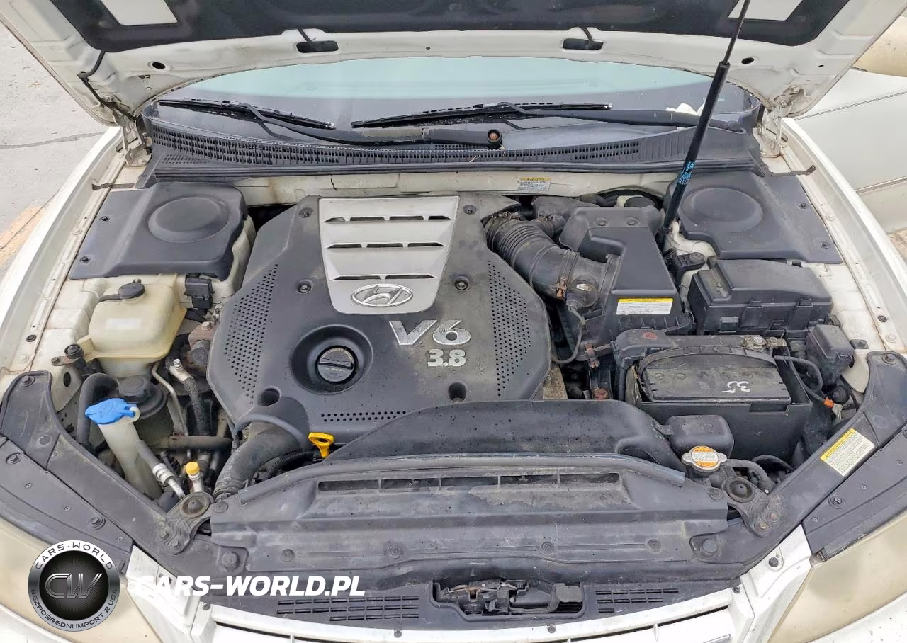 2007 Hyundai Azera Se VIN:KMHFC46F47A178885 - 11