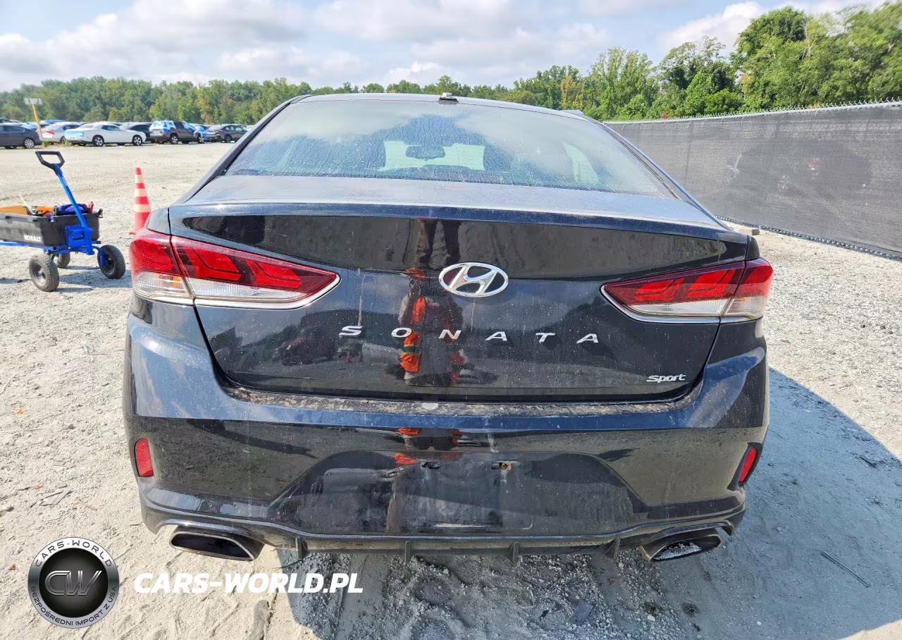 2018 Hyundai Sonata Sport VIN:5NPE34AF8JH626620 - 6