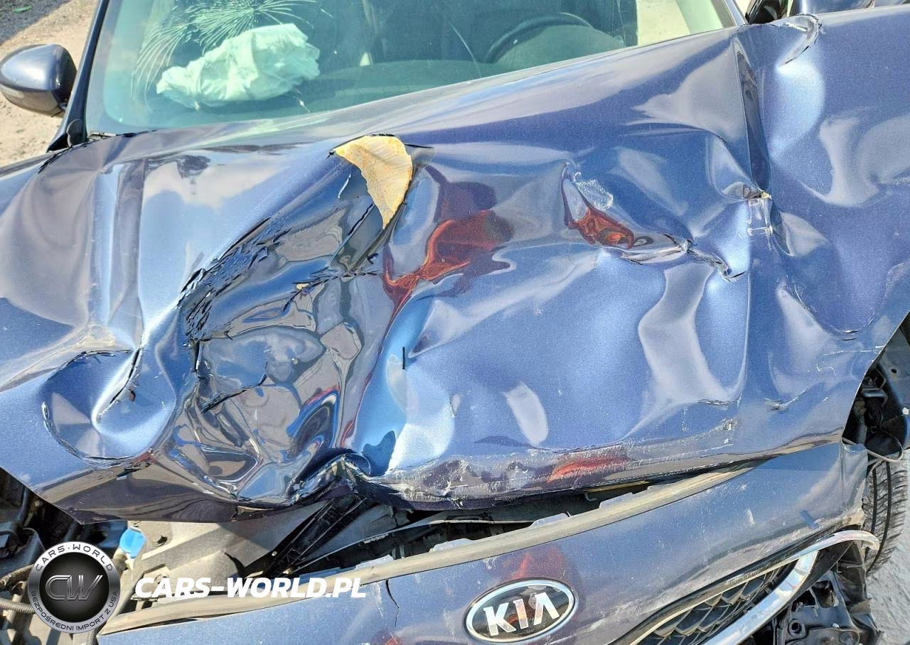 2020 Kia Sportage Ex VIN:KNDPNCAC3L7716591 - 12