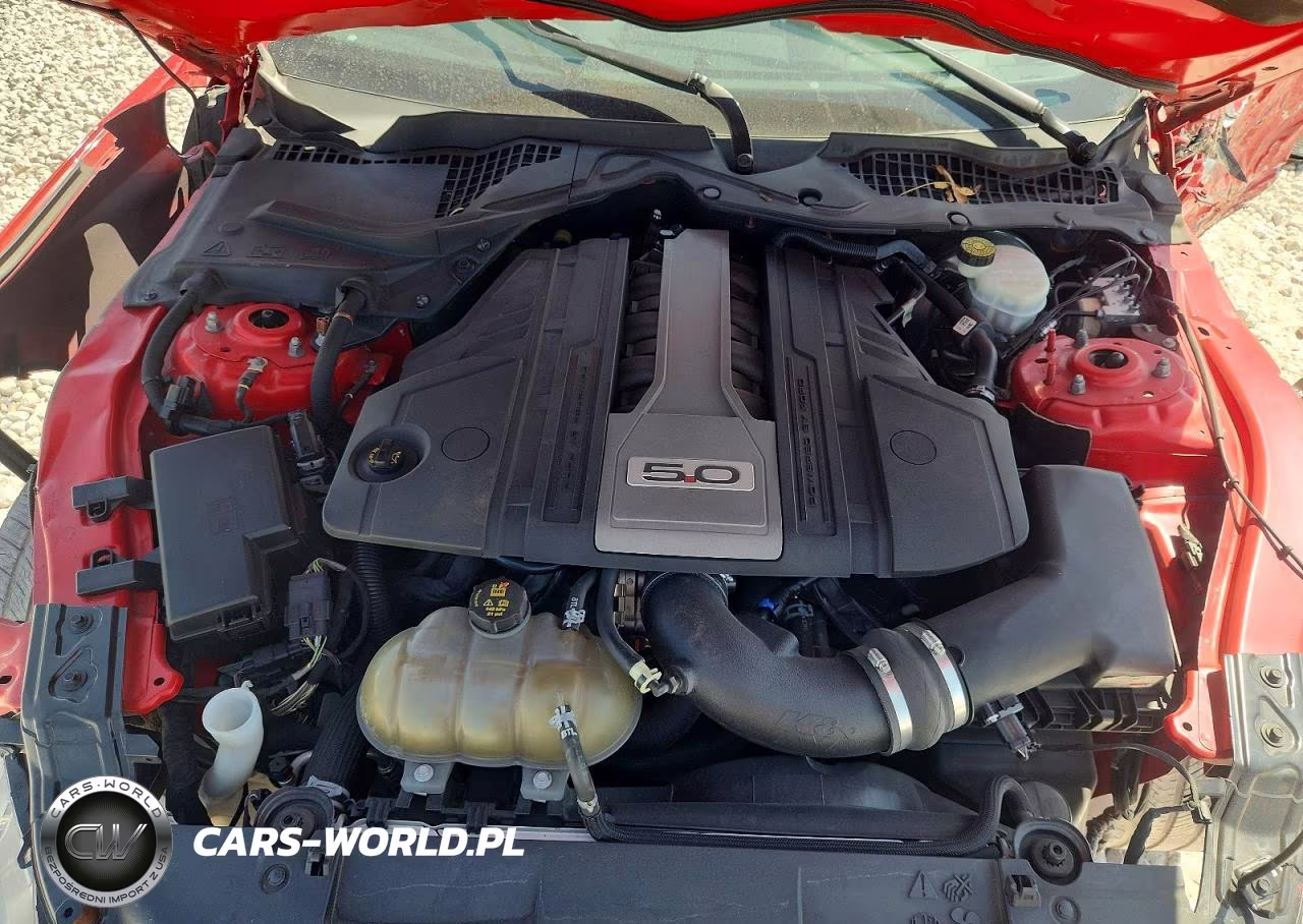 2019 Ford Mustang Gt VIN:1FA6P8CFXK5151752 - 11