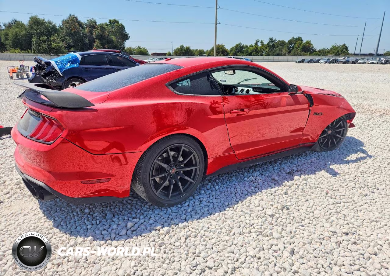2019 Ford Mustang Gt VIN:1FA6P8CFXK5151752 - 3
