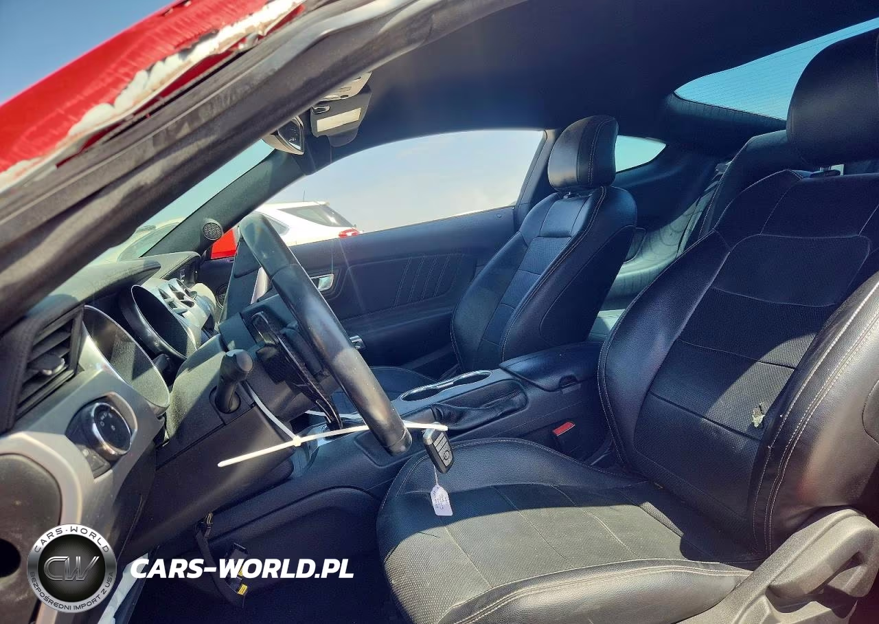 2019 Ford Mustang Gt VIN:1FA6P8CFXK5151752 - 7