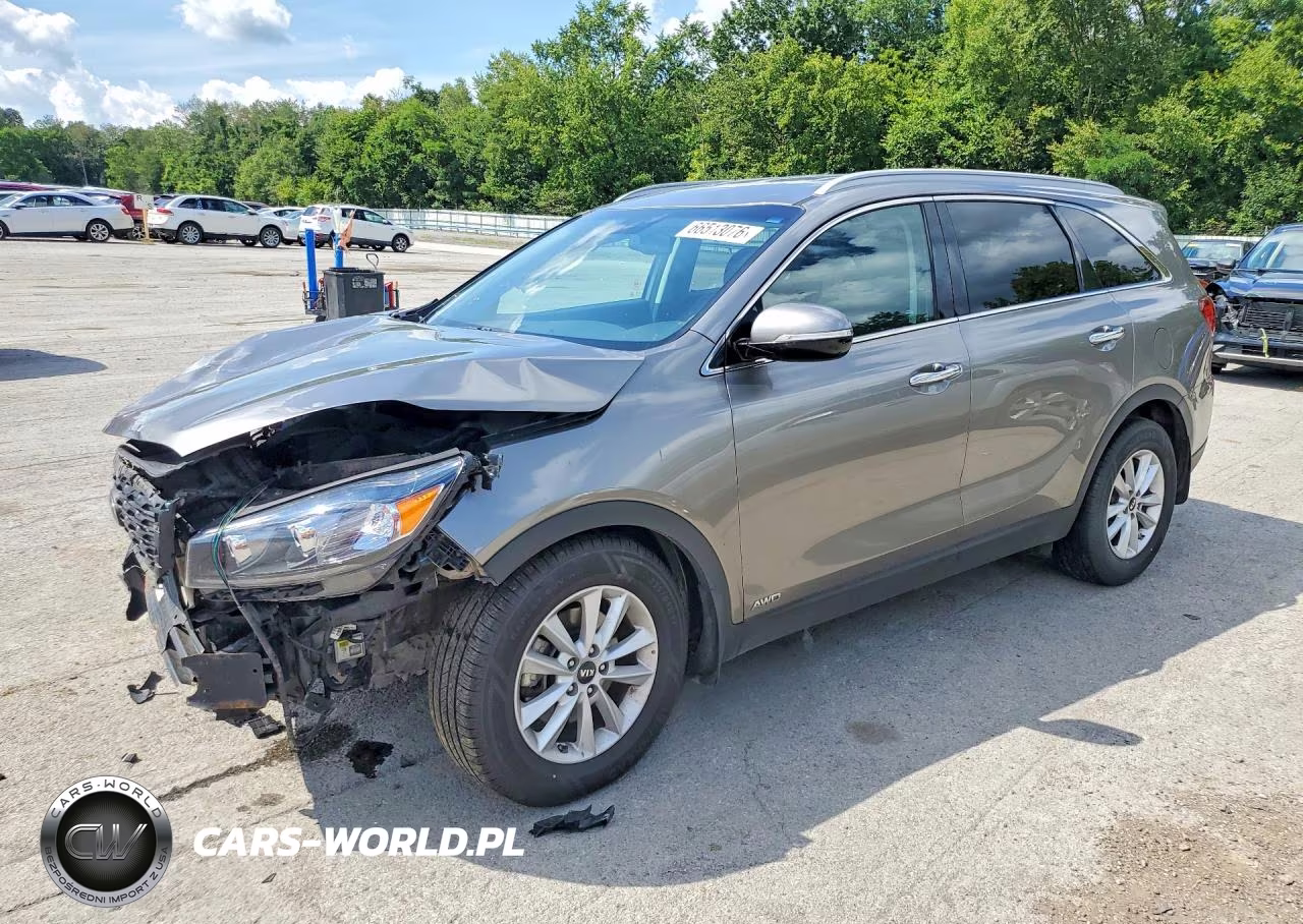 2019 Kia Sorento Lx VIN:5XYPGDA36KG434091 - 1