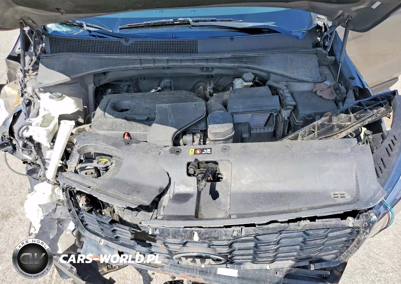 2019 Kia Sorento Lx VIN:5XYPGDA36KG434091 - 12