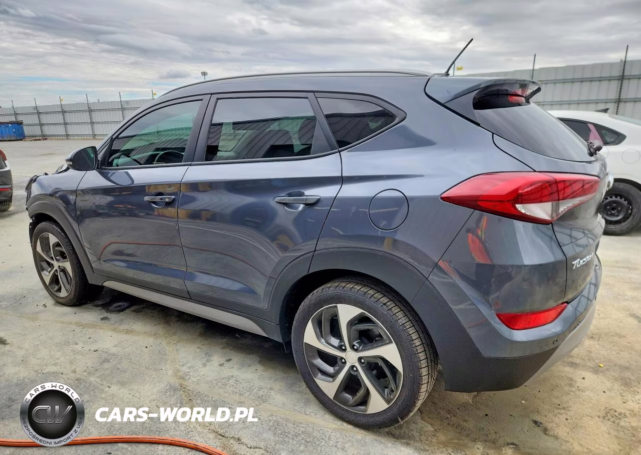 2017 Hyundai Tucson Sport VIN:KM8J33A29HU387015 - 2