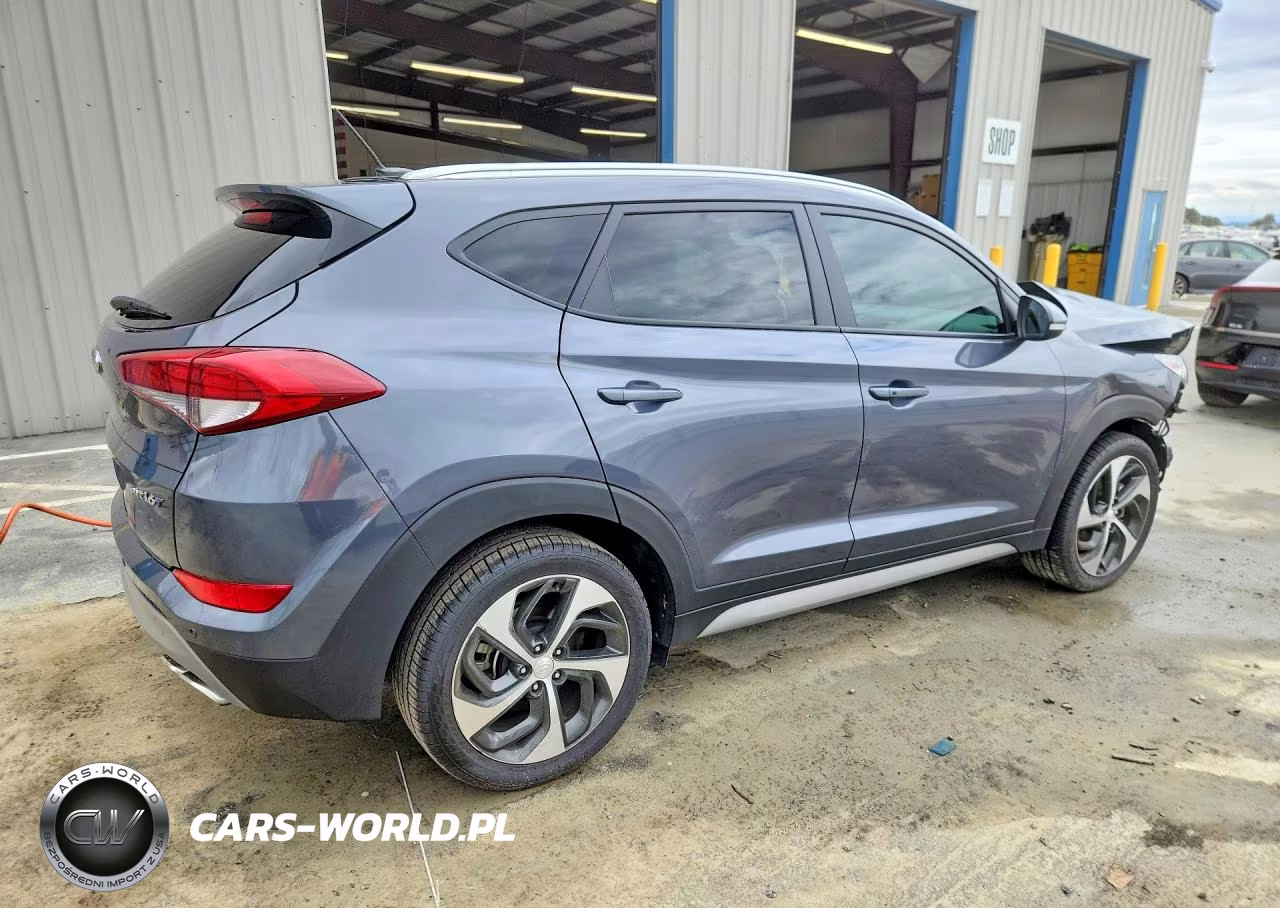 2017 Hyundai Tucson Sport VIN:KM8J33A29HU387015 - 3