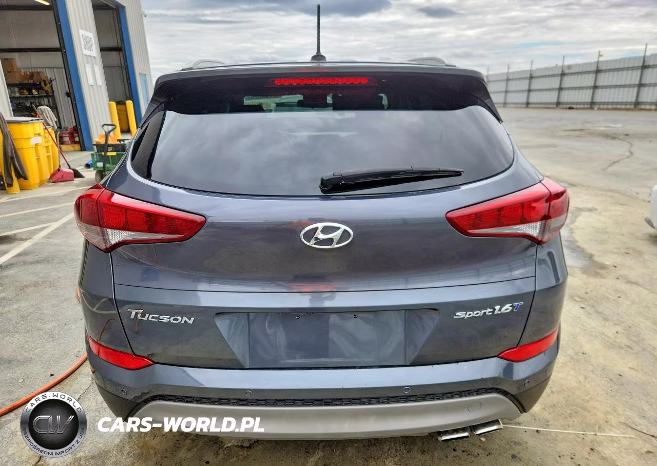 2017 Hyundai Tucson Sport VIN:KM8J33A29HU387015 - 6