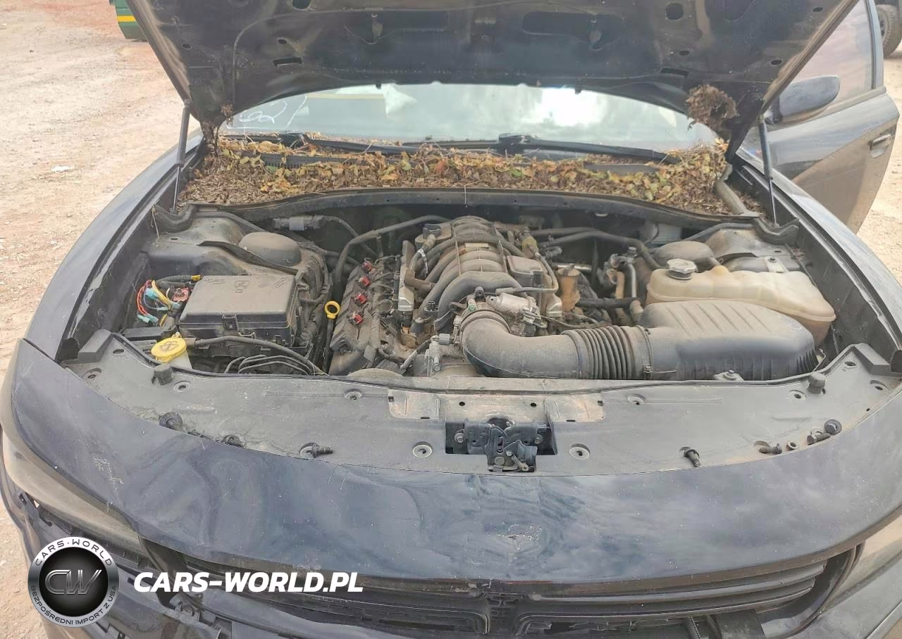 2019 Dodge Charger Police VIN:2C3CDXAT2KH592460 - 11