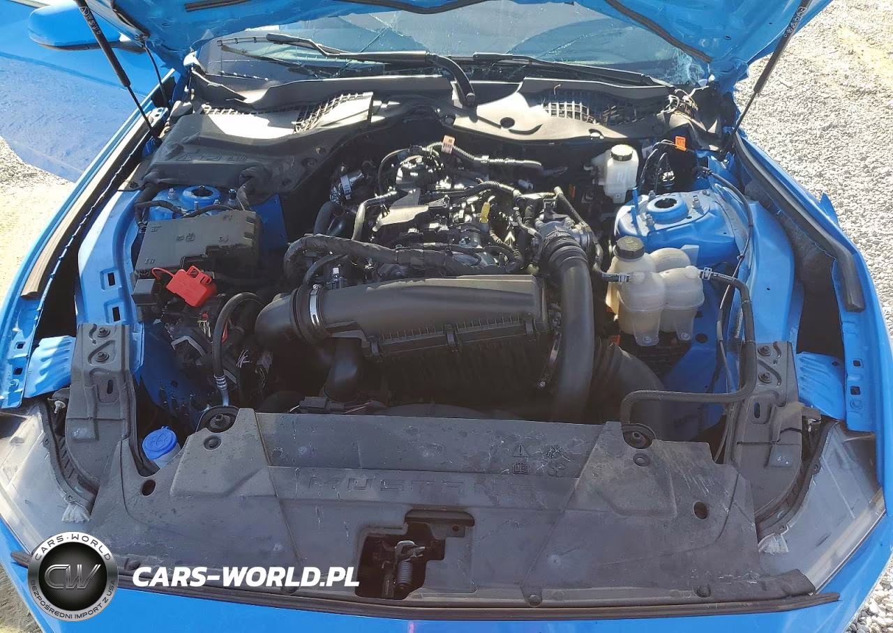 2024 Ford Mustang VIN:1FA6P8TH5R5137219 - 11