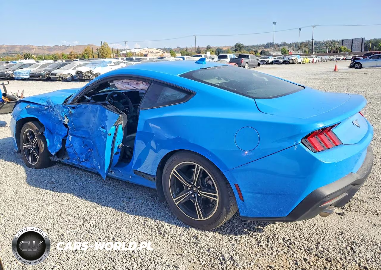 2024 Ford Mustang VIN:1FA6P8TH5R5137219 - 2