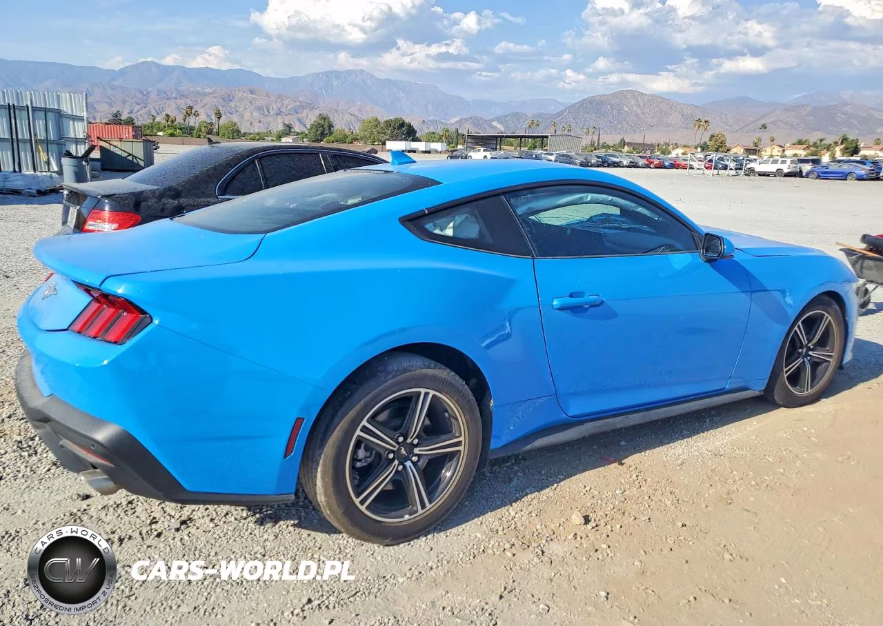 2024 Ford Mustang VIN:1FA6P8TH5R5137219 - 3