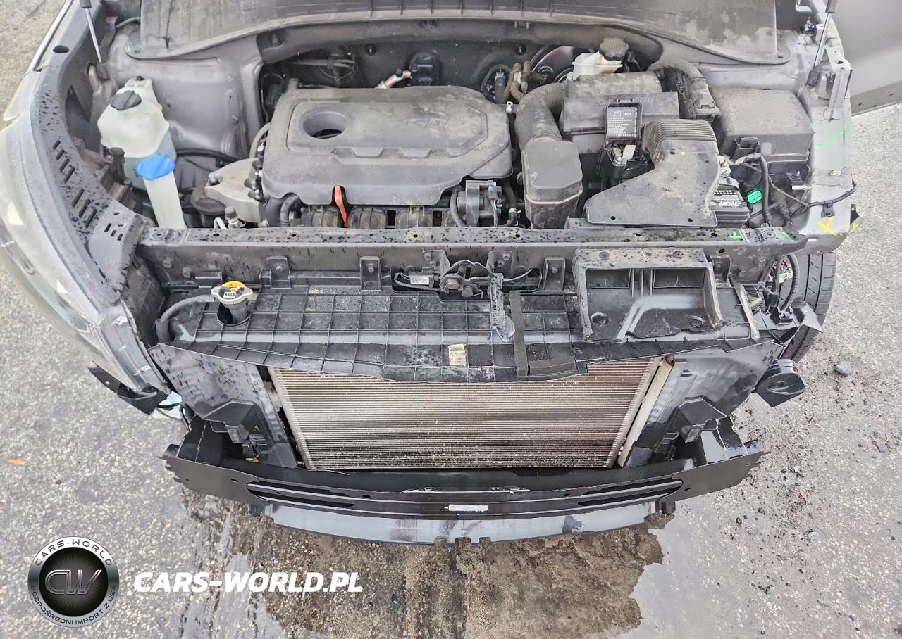 2019 Kia Sorento L VIN:5XYPG4A39KG529809 - 12