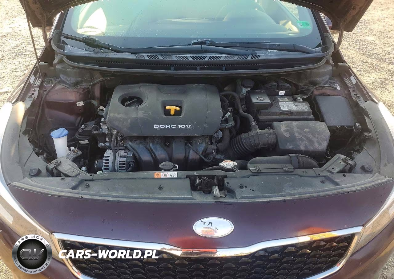 2017 Kia Forte Lx VIN:3KPFK4A76HE123652 - 11