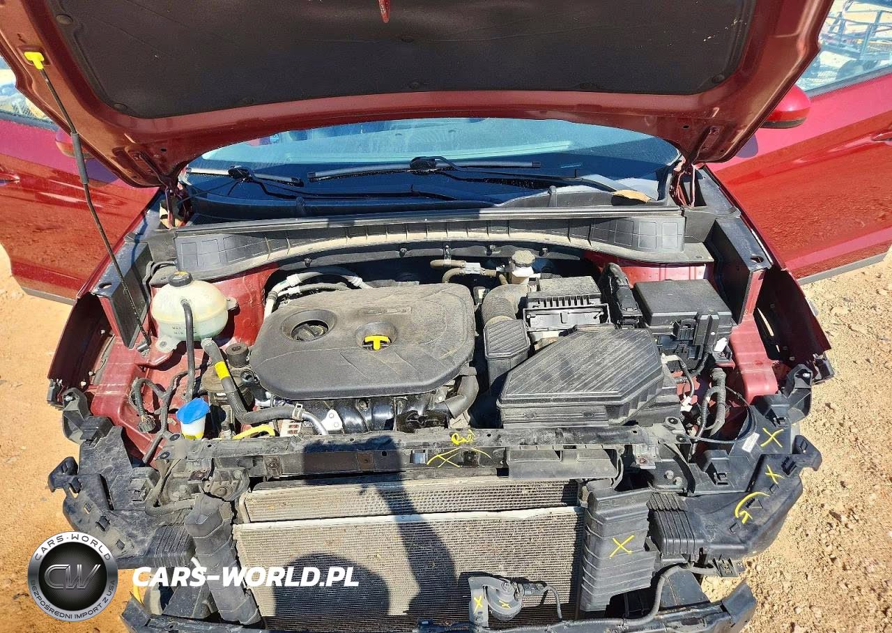 2019 Hyundai Tucson Se VIN:KM8J2CA4XKU923837 - 12