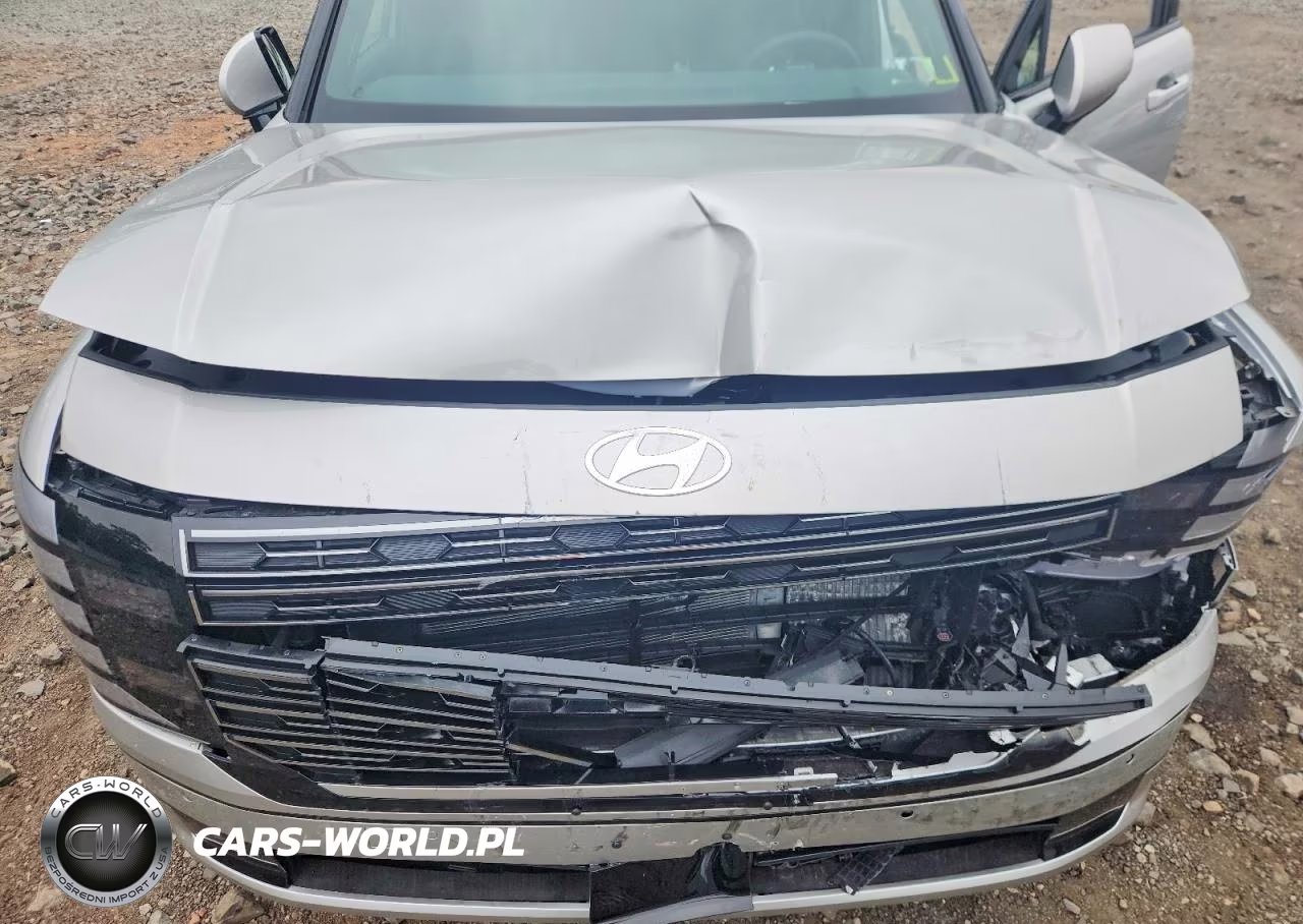 2026 Hyundai Palisade Calligraphy VIN:KM8RMESA8TU062642 - 12