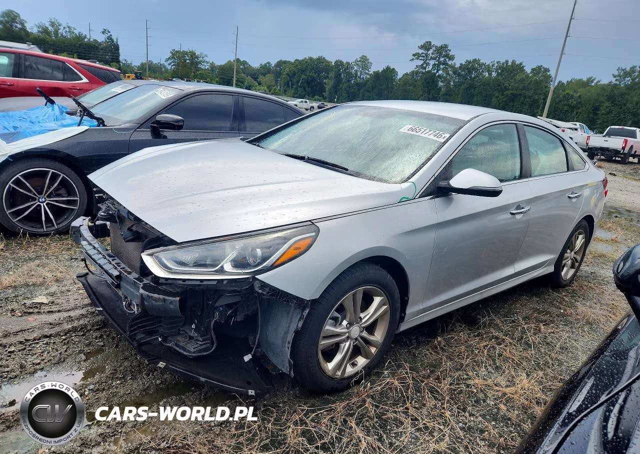 2019 Hyundai Sonata Sel VIN:5NPE34AF2KH770701 - 1