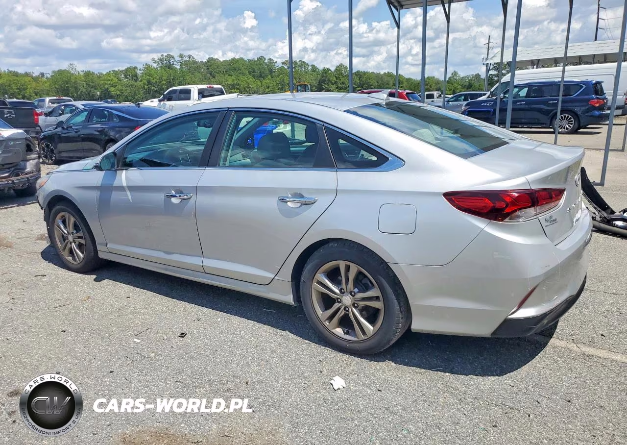 2019 Hyundai Sonata Sel VIN:5NPE34AF2KH770701 - 2