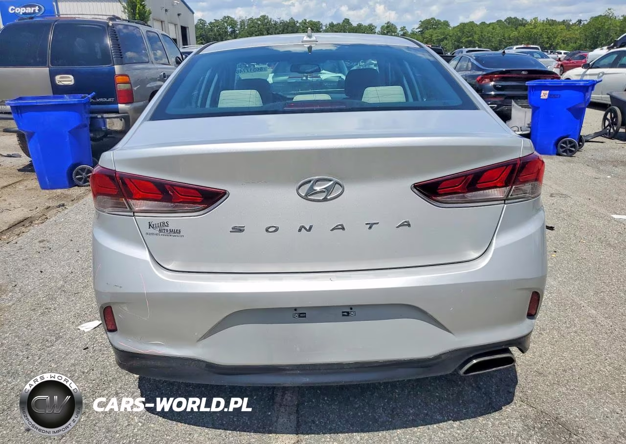 2019 Hyundai Sonata Sel VIN:5NPE34AF2KH770701 - 6