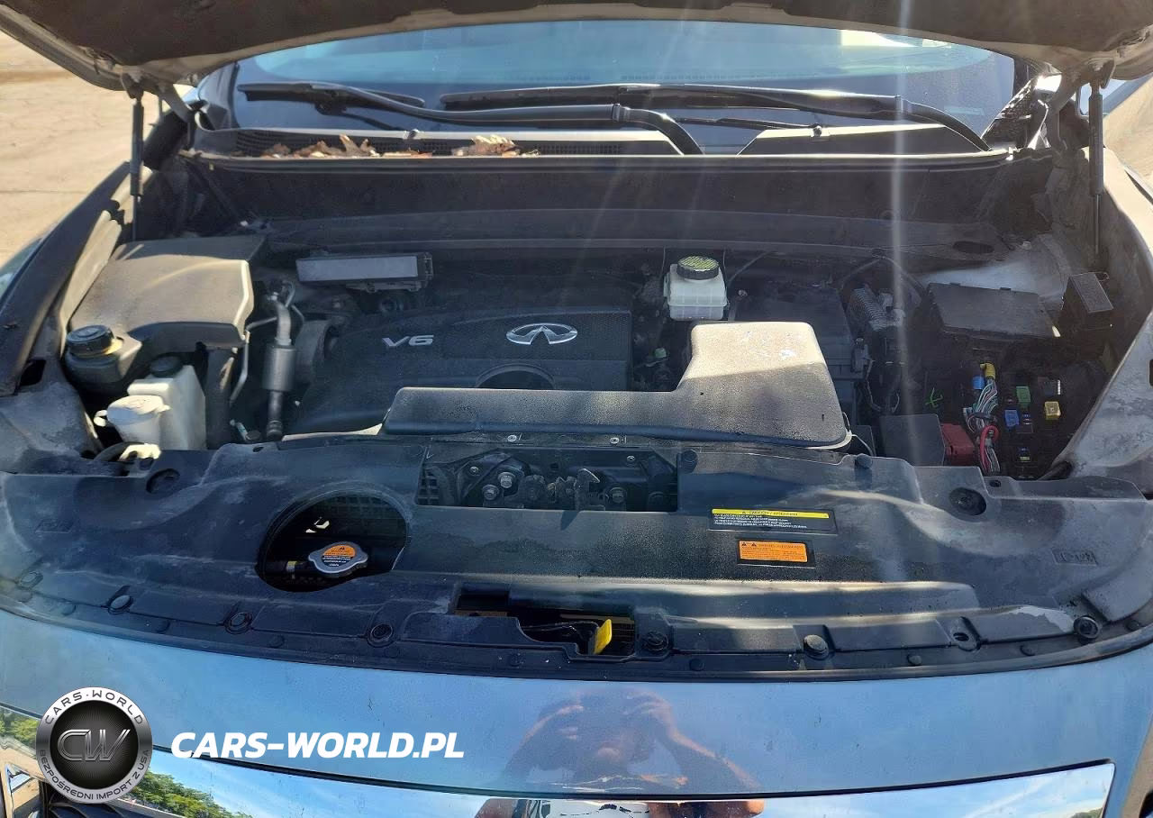2019 Infiniti Qx60 Pure VIN:5N1DL0MM9KC515310 - 12