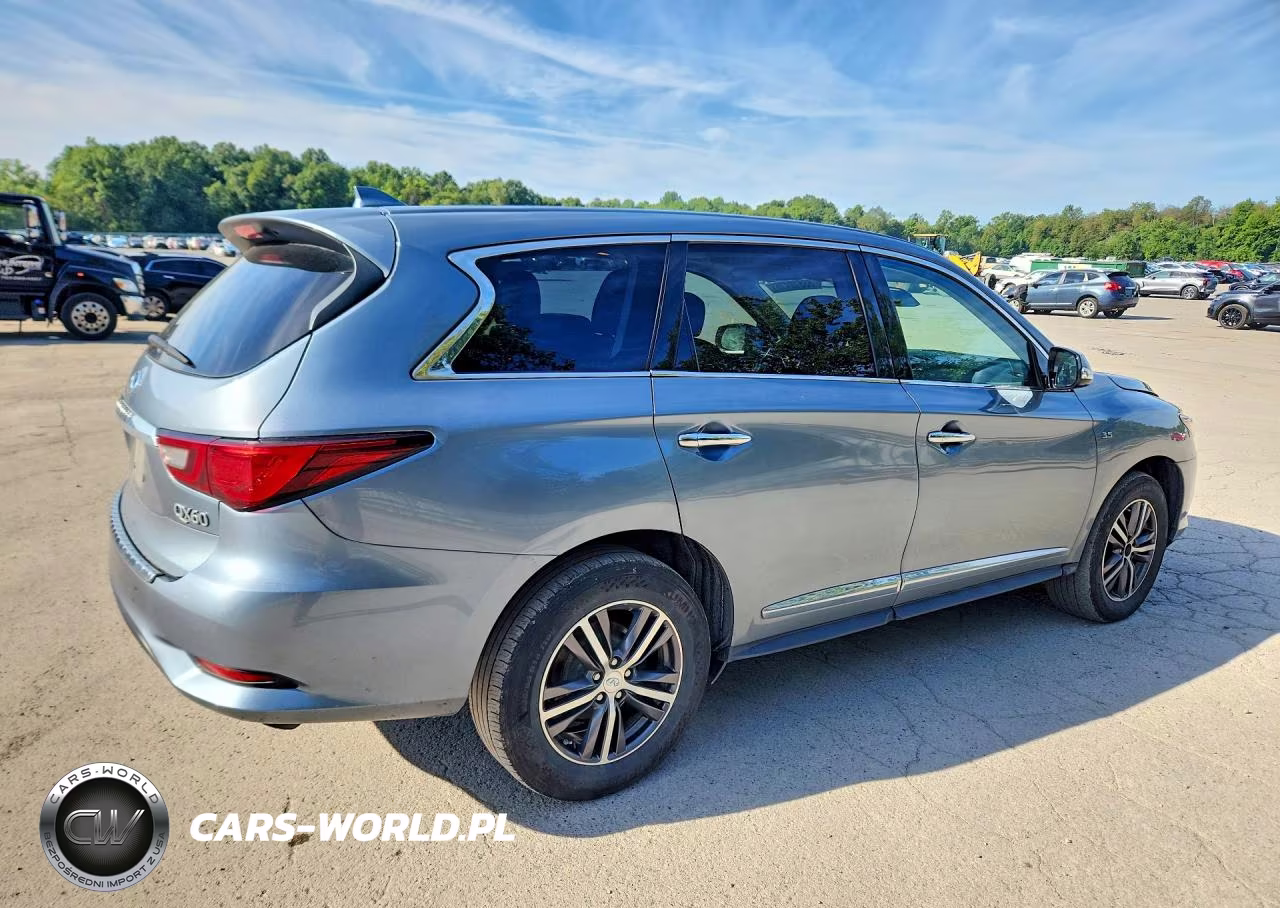 2019 Infiniti Qx60 Pure VIN:5N1DL0MM9KC515310 - 3