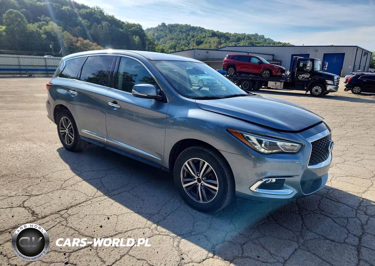 2019 Infiniti Qx60 Pure VIN:5N1DL0MM9KC515310 - 4