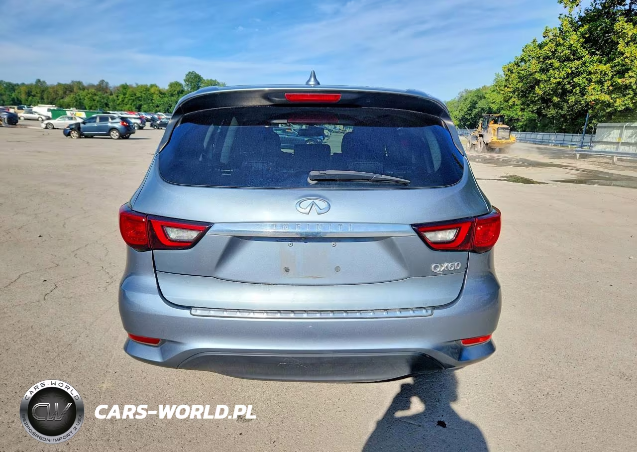2019 Infiniti Qx60 Pure VIN:5N1DL0MM9KC515310 - 6