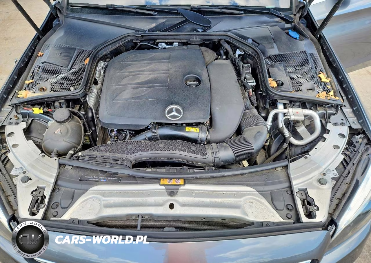 2019 Mercedes-Benz C 300 4Matic VIN:55SWF8EB9KU284958 - 11