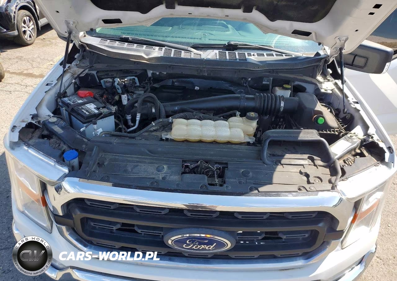 2021 Ford F150 Supercrew VIN:1FTFW1E13MFC73503 - 11