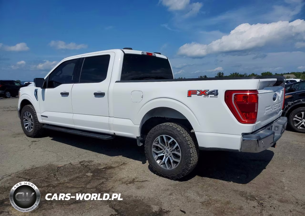 2021 Ford F150 Supercrew VIN:1FTFW1E13MFC73503 - 2