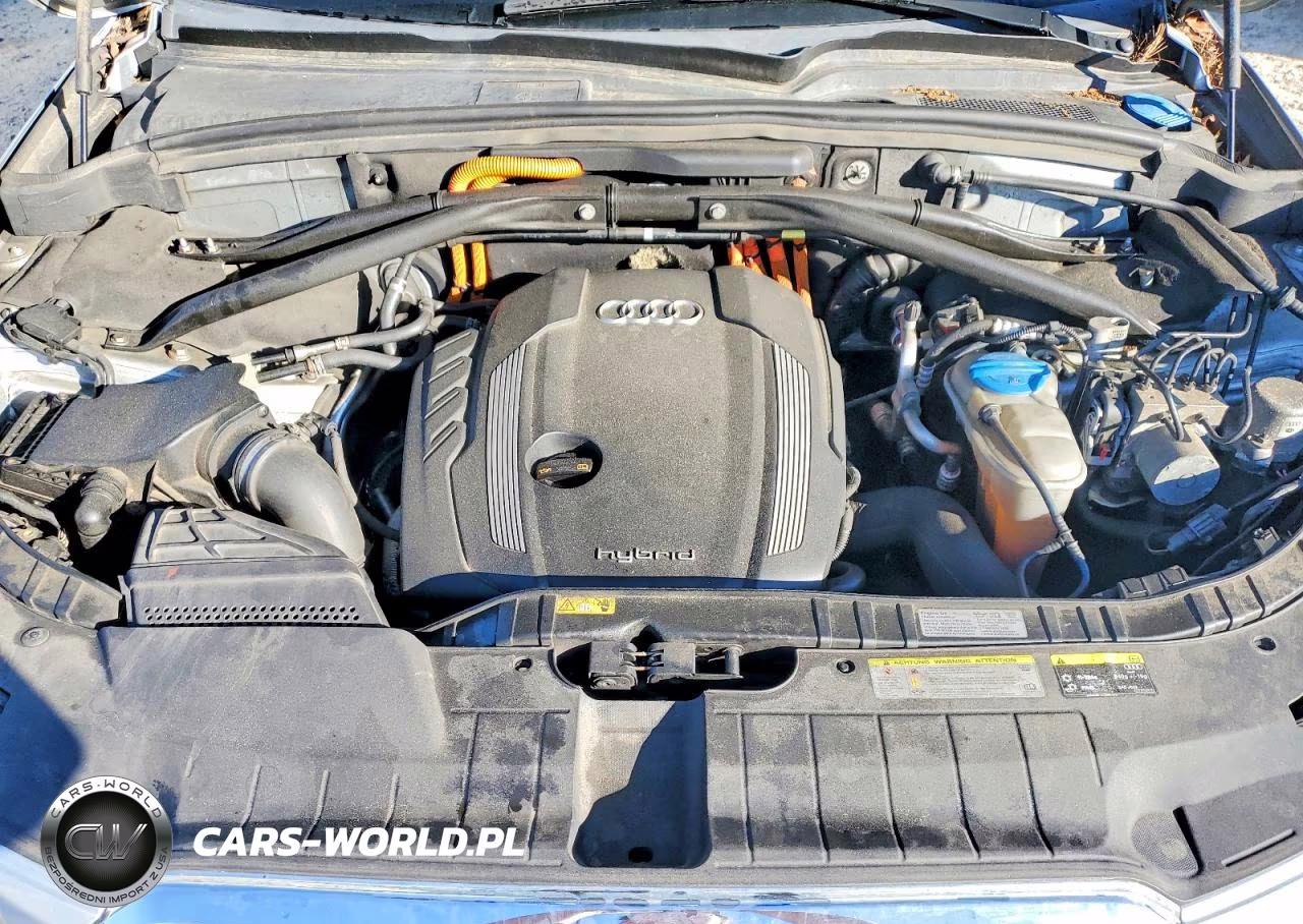 2013 Audi Q5 Premium Hybrid VIN:WA1C8AFP3DA026862 - 12
