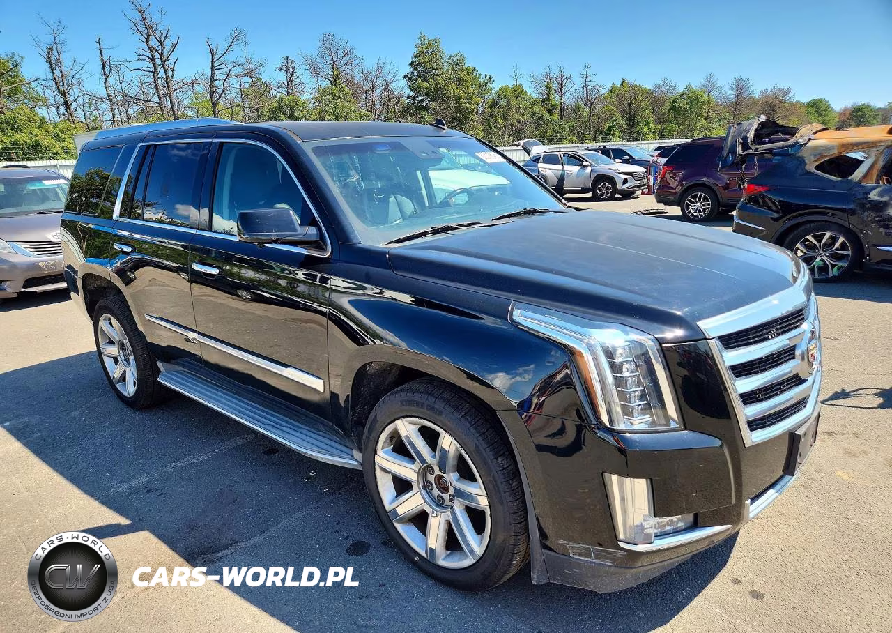 2015 Cadillac Escalade Luxury VIN:1GYS4BKJ9FR209492 - 4