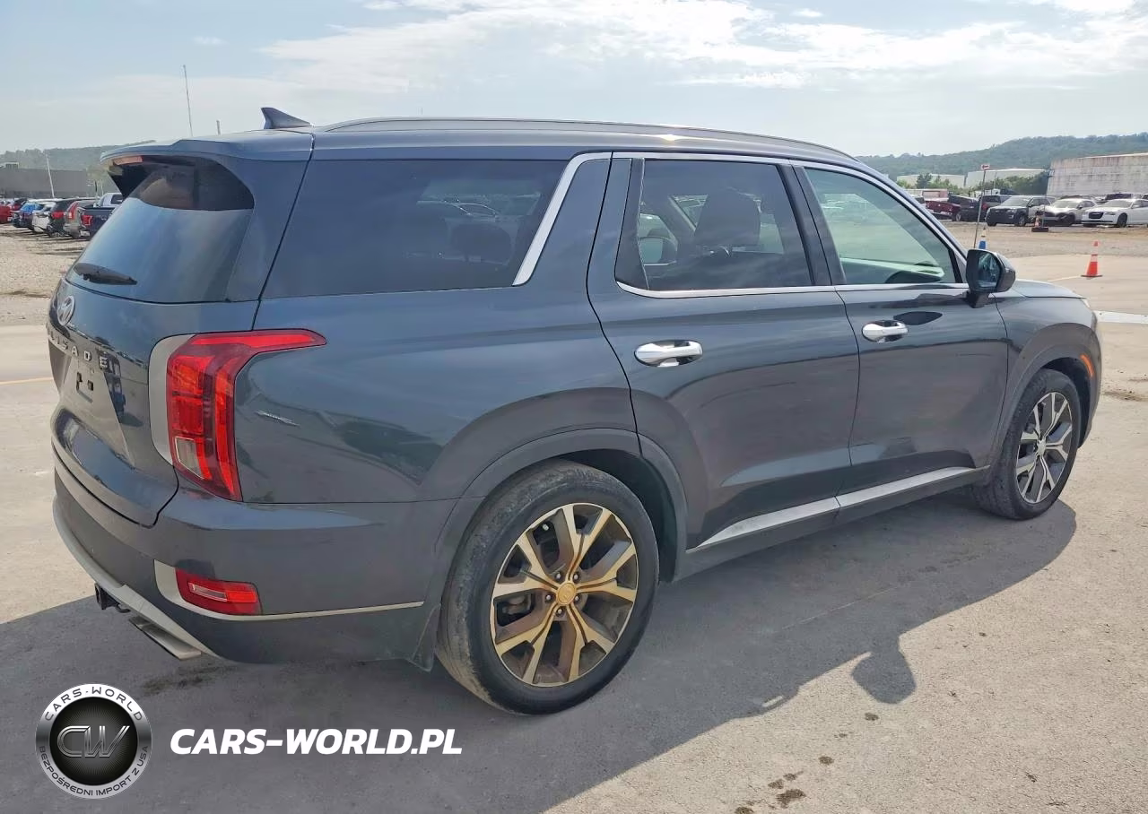 2020 Hyundai Palisade Sel VIN:KM8R44HE5LU061534 - 3