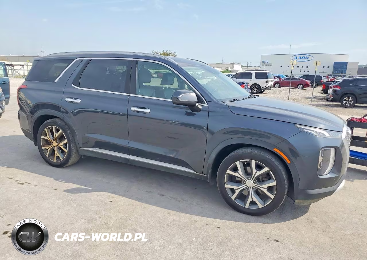 2020 Hyundai Palisade Sel VIN:KM8R44HE5LU061534 - 4