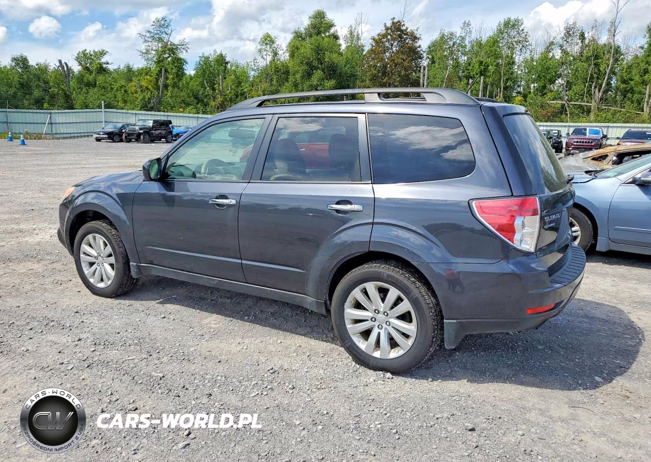 2013 Subaru Forester 2.5X Premium VIN:JF2SHADC5DH409390 - 2