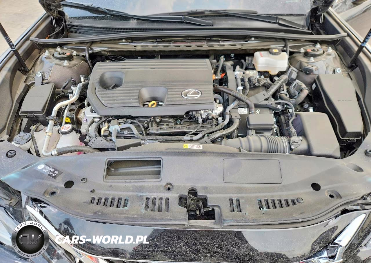 2025 Lexus Es 300H Base VIN:58ADA1C15SU057965 - 11