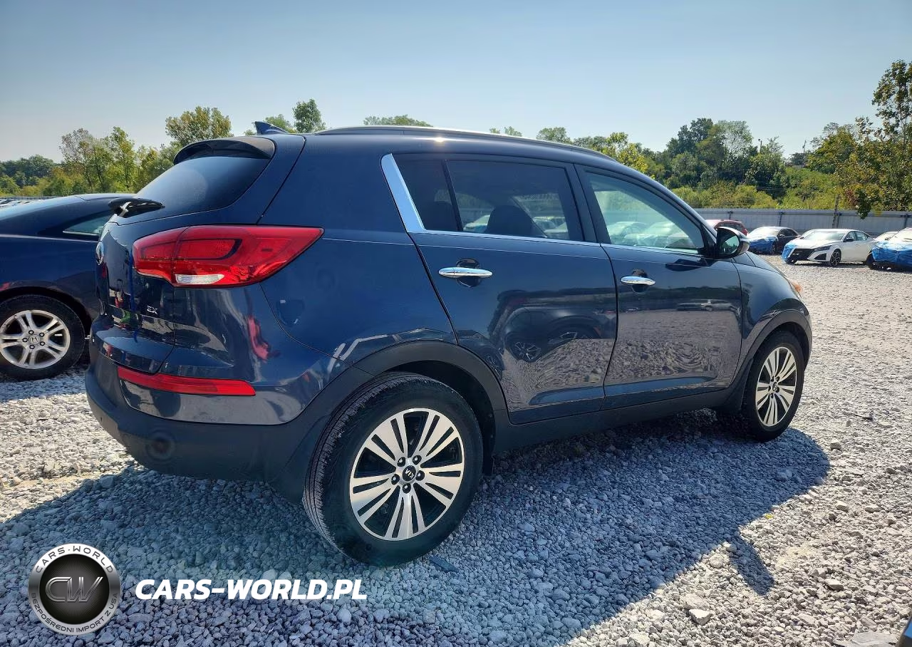 2014 Kia Sportage Ex VIN:KNDPC3AC6E7599808 - 3