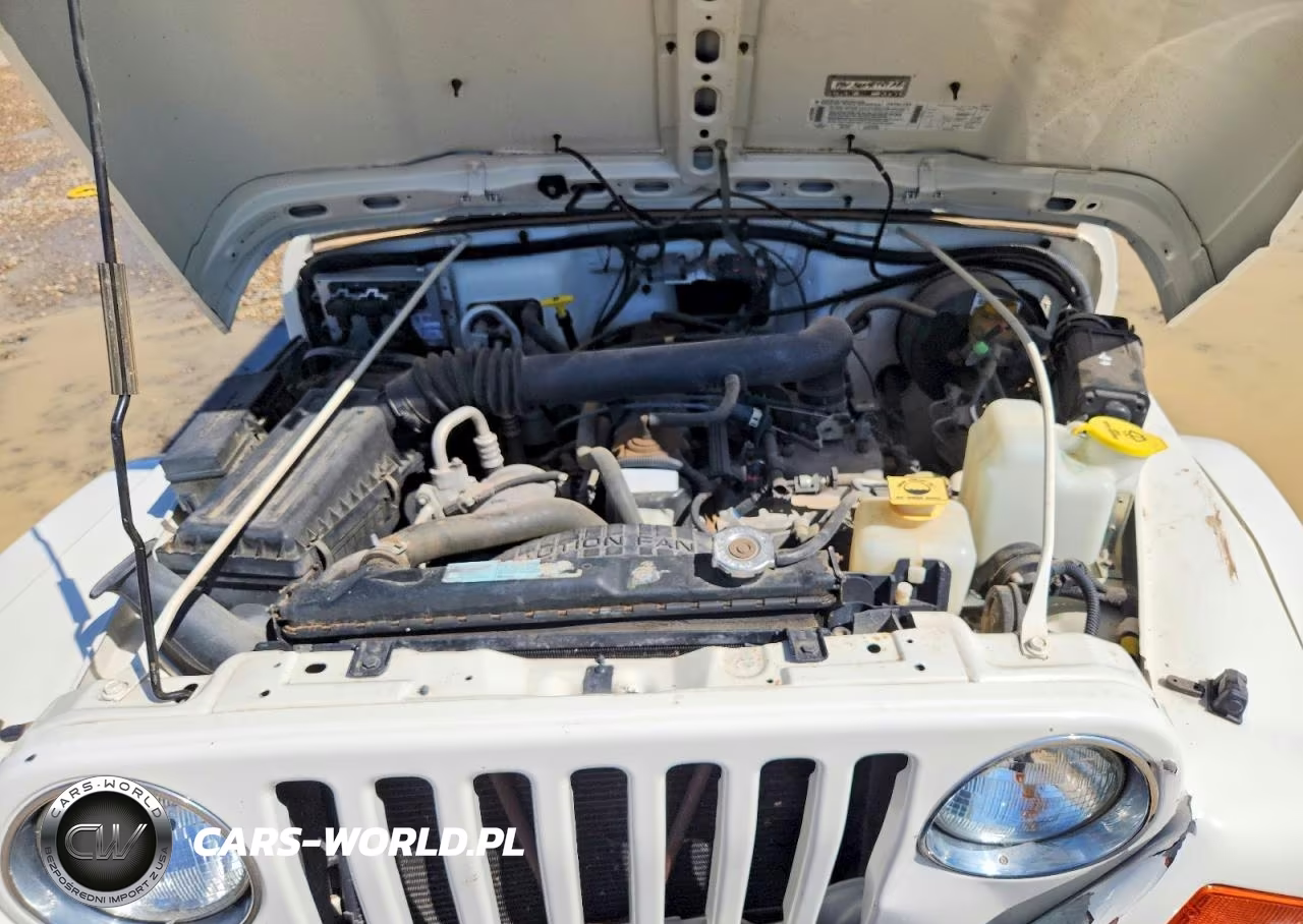 1999 Jeep Wrangler - Tj Sahara VIN:1J4FY49S9XP452829 - 11