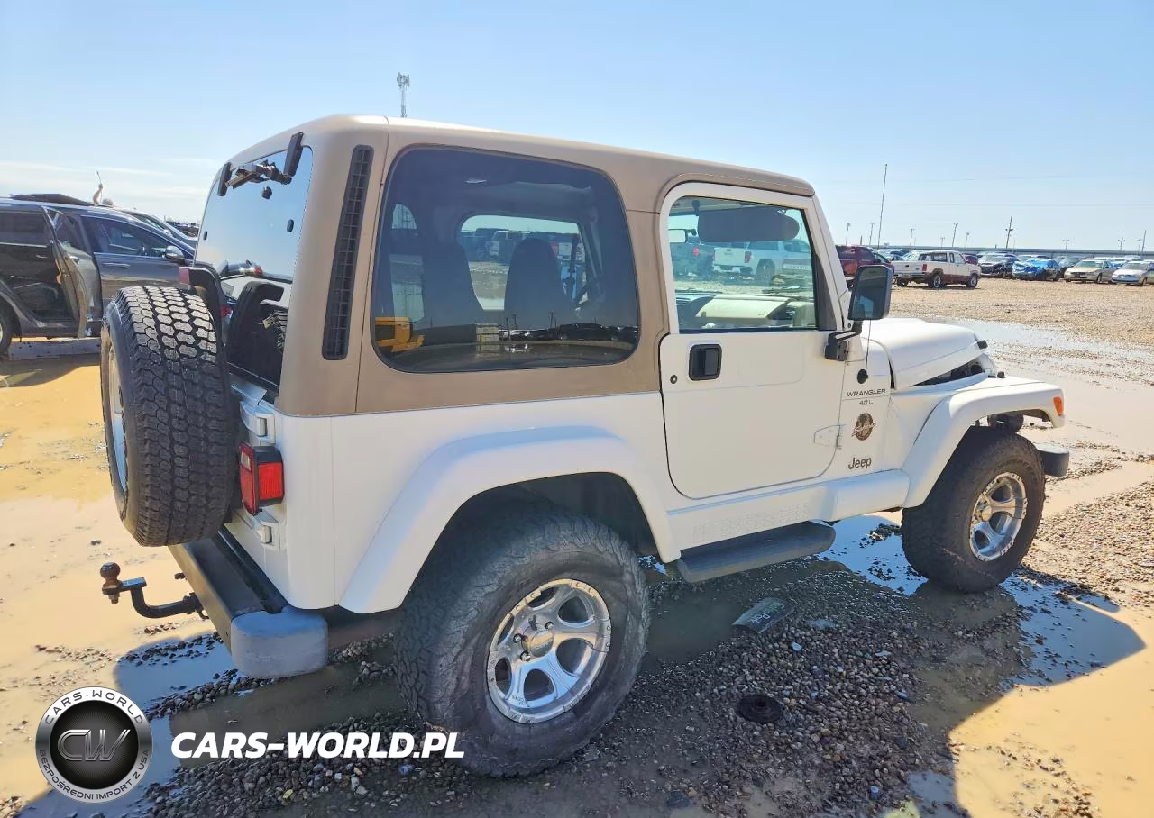1999 Jeep Wrangler - Tj Sahara VIN:1J4FY49S9XP452829 - 3