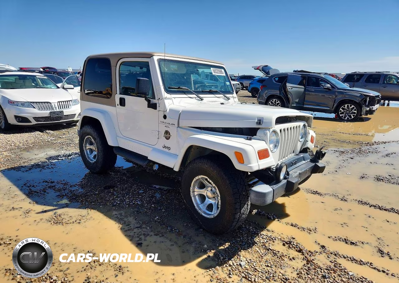 1999 Jeep Wrangler - Tj Sahara VIN:1J4FY49S9XP452829 - 4