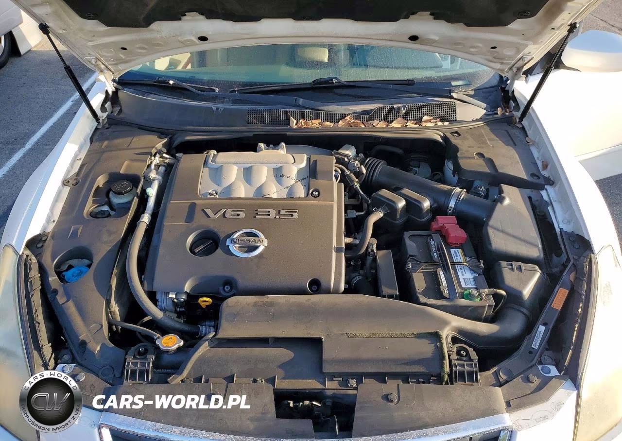 2007 Nissan Maxima 3.5 Se VIN:1N4BA41E67C850799 - 11