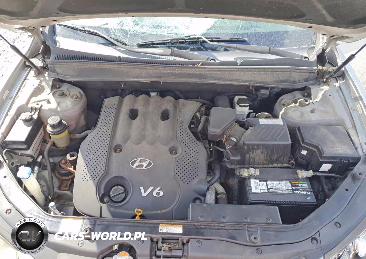 2008 Hyundai Santa Fe Gls VIN:5NMSG73D48H132976 - 12