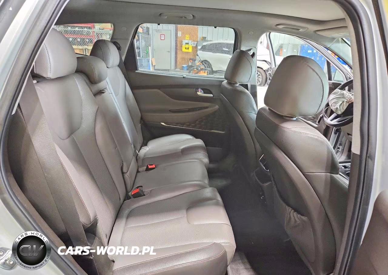 2019 Hyundai Santa Fe Limited, Ultimate VIN:5NMS5CAA2KH133123 - 10