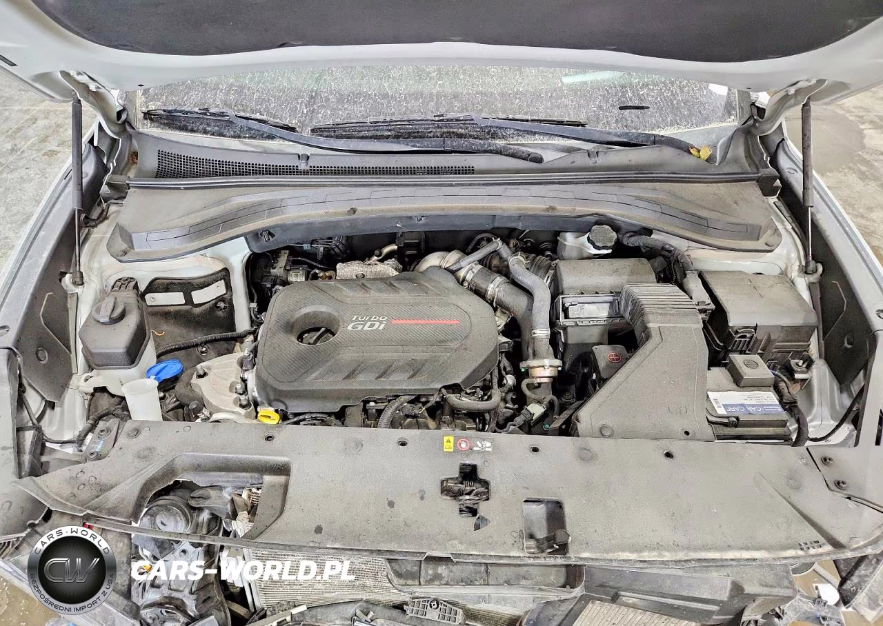 2019 Hyundai Santa Fe Limited, Ultimate VIN:5NMS5CAA2KH133123 - 11
