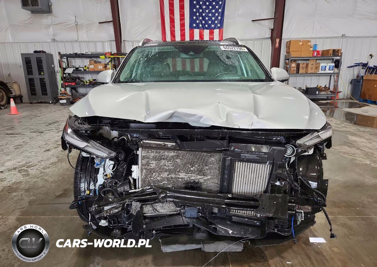 2019 Hyundai Santa Fe Limited, Ultimate VIN:5NMS5CAA2KH133123 - 5