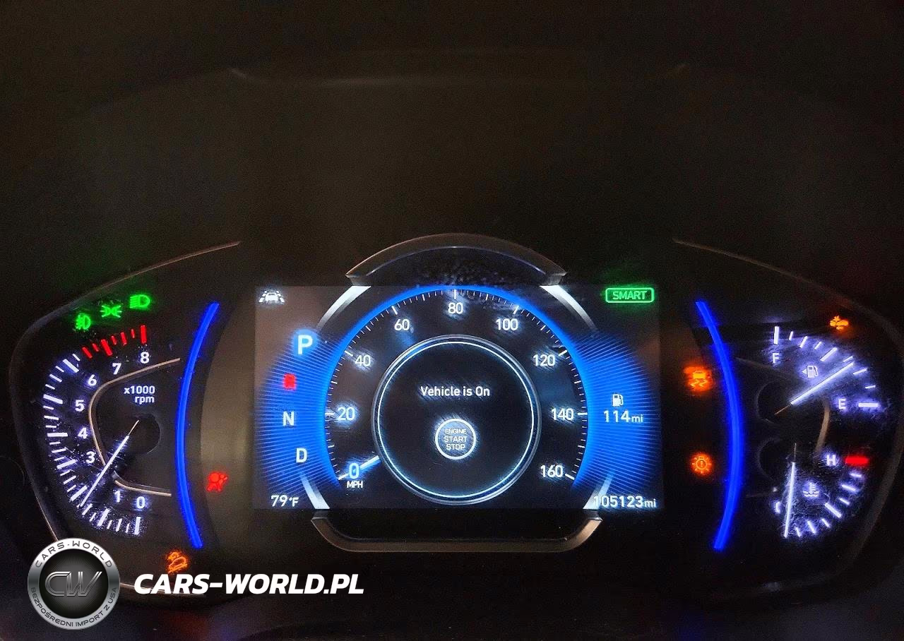 2019 Hyundai Santa Fe Limited, Ultimate VIN:5NMS5CAA2KH133123 - 9