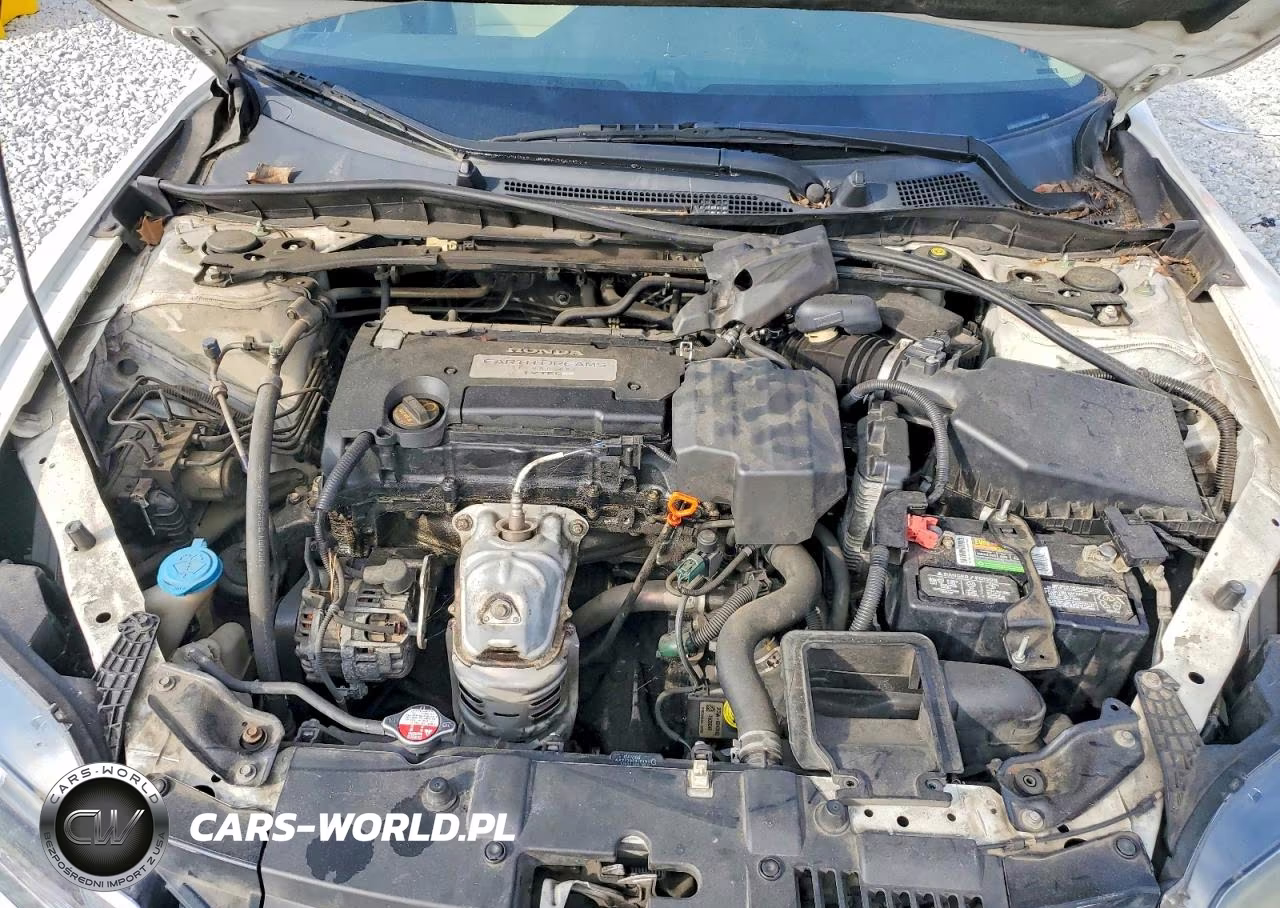 2013 Honda Accord Exl VIN:1HGCT1B89DA001842 - 11